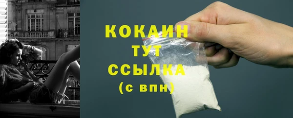 молекула духа Саяногорск