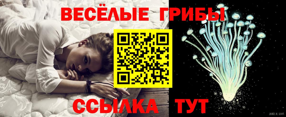 Псилоцибиновые грибы Psilocybine cubensis Верхний Уфалей